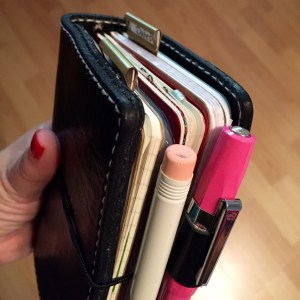 Chic Sparrow Mr. Darcy